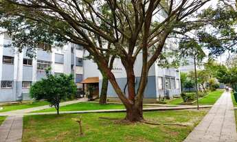 Imagem 3: Apartamento à venda em Porto Alegre, Humaitá, com 3 quartos, 69m²