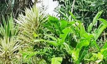 Imagem: Terreno à venda em Macaé, Jardim Vitória