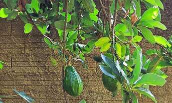 Imagem 7: Chácara à venda em Jurucê, com 2 quartos