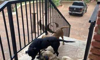 Imagem: Chácara à venda, no Recreio Internacional