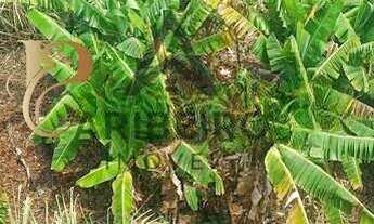 Imagem 2: Terreno à venda em São Bernardo do Campo, Independência, 250m²