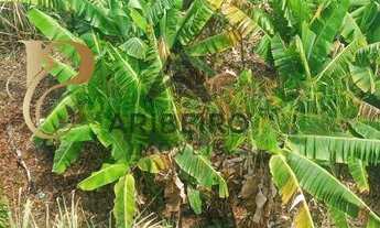 Imagem 5: Terreno à venda em São Bernardo do Campo, Independência, 250m²