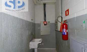 Imagem: Galpão em Vila Maria - São Paulo