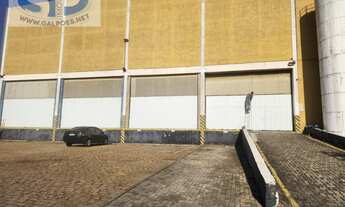 Imagem: Galpão em Jardim Fatima - Guarulhos