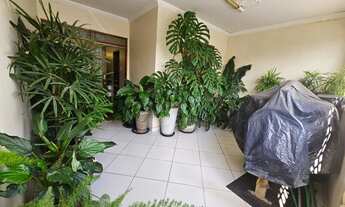 Imagem 3: Casa com excelente localização na rua do convento Divinopolis