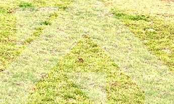 Imagem: Terreno em Tamboré - Santana de Parnaíba