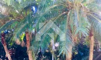 Imagem 3: Casa de Condomínio em Alphaville - Barueri, SP