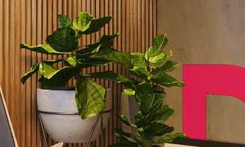 Imagem: Door 7710, 2 dormitórios, 1 suítes, 1