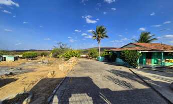 Imagem 5: Chácara com 3 dormitórios à venda, 6000 m² por R$ 450.000,00 - 4º Distrito - Zona Rural