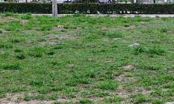 Imagem 6: Terreno à venda, 586 m² por R$ 650.000 - Universitário - Caruaru/PE