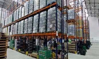 Imagem: Galpão em Cumbica - São Paulo