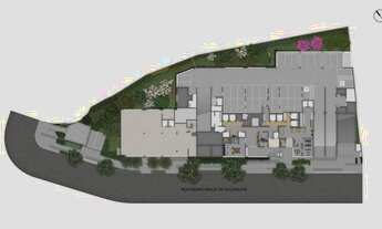 Imagem 6: Raízes Vila Mascote - NR