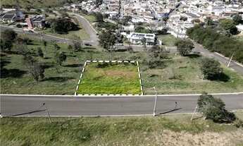 Imagem 1: LPDCRFD 903 Lote 690591004-37