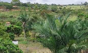 Imagem: Área de 2 hectares à venda em Riacho das