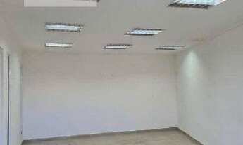 Imagem 5: Galpão em Quinta da Paineira - São Paulo