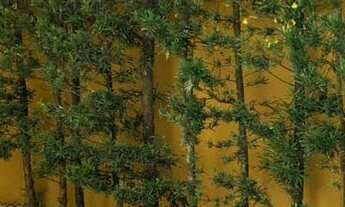 Imagem 6: Casa de Condomínio em Granja Viana - Cotia, SP