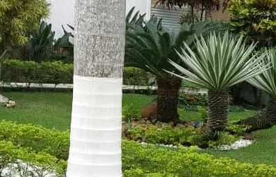 Imagem 3: Casa à venda, 300 m² por R$ 2.750.000,00 - Balneário Praia do Pernambuco - Guarujá/SP