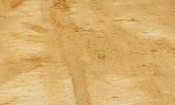 Imagem 4: Terreno à venda, 20000 m² por R$ 250.000,00 - Área Rural - Riacho das Almas/PE