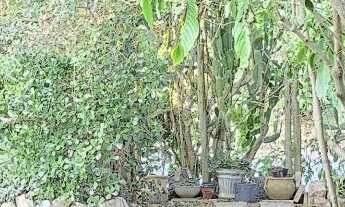 Imagem 7: COD 1367 -Maravilhosa Casa no Bairro Caravelas, Búzios