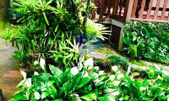 Imagem: 1632- VENDA SÍTIO CASCATA LUMIAR,NOVA FRIBURGO