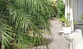 Imagem 6: 2 dormitórios na Rua Porto União