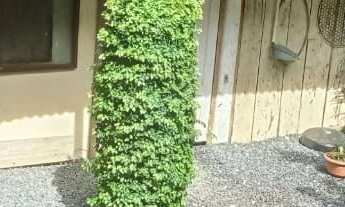 Imagem 7: 2 dormitórios na Rua Porto União