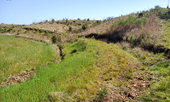 Imagem 7: CHACARA Chácara com venda por R$215.000