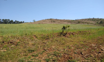 Imagem 6: CHACARA Chácara com venda por R$215.000