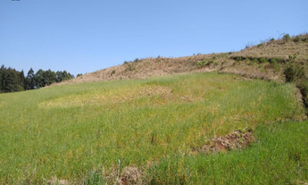 Imagem 5: CHACARA Chácara com venda por R$215.000