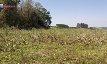 Imagem 3: TERRENO PARA VENDA