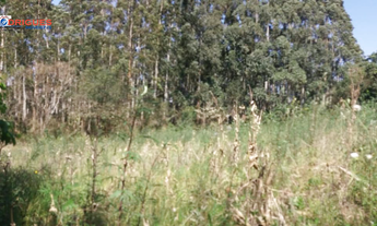 Imagem 5: TERRENO PARA VENDA