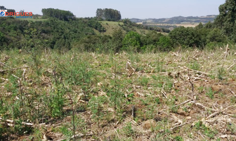 Imagem 6: TERRENO PARA VENDA