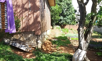 Imagem: 3 Casas em um amplo terreno