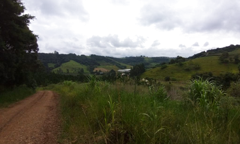 Imagem 4: Terreno à venda, , SAO LOURENCO DO OESTE - SC