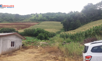 Imagem 4: Chácara para venda- Interior De São Lourenço Do Oeste-SC