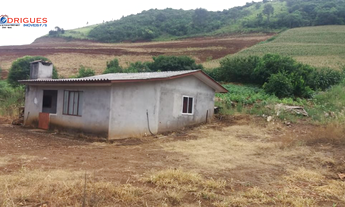 Imagem 3: Chácara para venda- Interior De São Lourenço Do Oeste-SC