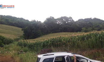Imagem 2: Chácara para venda- Interior De São Lourenço Do Oeste-SC