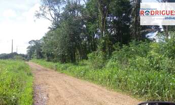 Imagem 4: Chacara em são Lourenço do Oeste