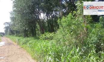 Imagem 2: Chacara em são Lourenço do Oeste