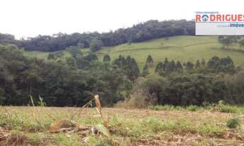Imagem 3: Área de Terra Fazenda / sítio com venda por R$1.500.000