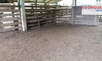 Imagem 5: Área de Terra Fazenda / sítio com venda por R$1.500.000