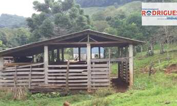 Imagem 7: Área de Terra Fazenda / sítio com venda por R$1.500.000