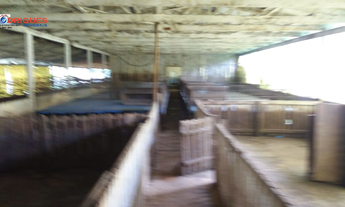 Imagem 2: Linda Área Rural