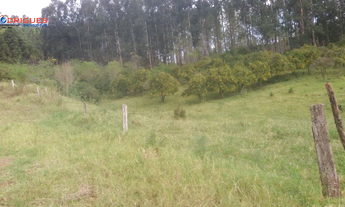 Imagem 3: Linda Área Rural