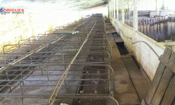 Imagem 5: Linda Área Rural