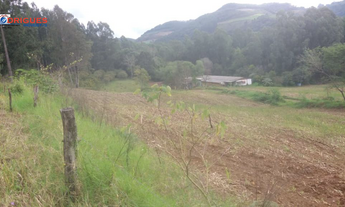 Imagem 6: Linda Área Rural