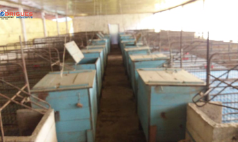 Imagem 7: Linda Área Rural