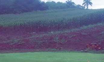 Imagem 7: Rural à venda, IRANI - SC