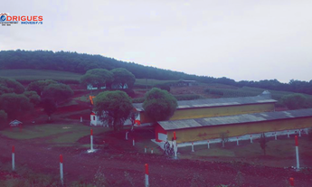 Imagem 3: Rural à venda, IRANI - SC