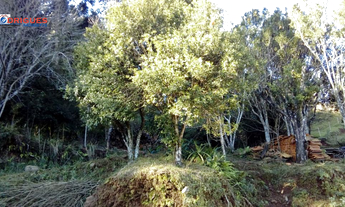 Imagem 2: Área Rural para Venda